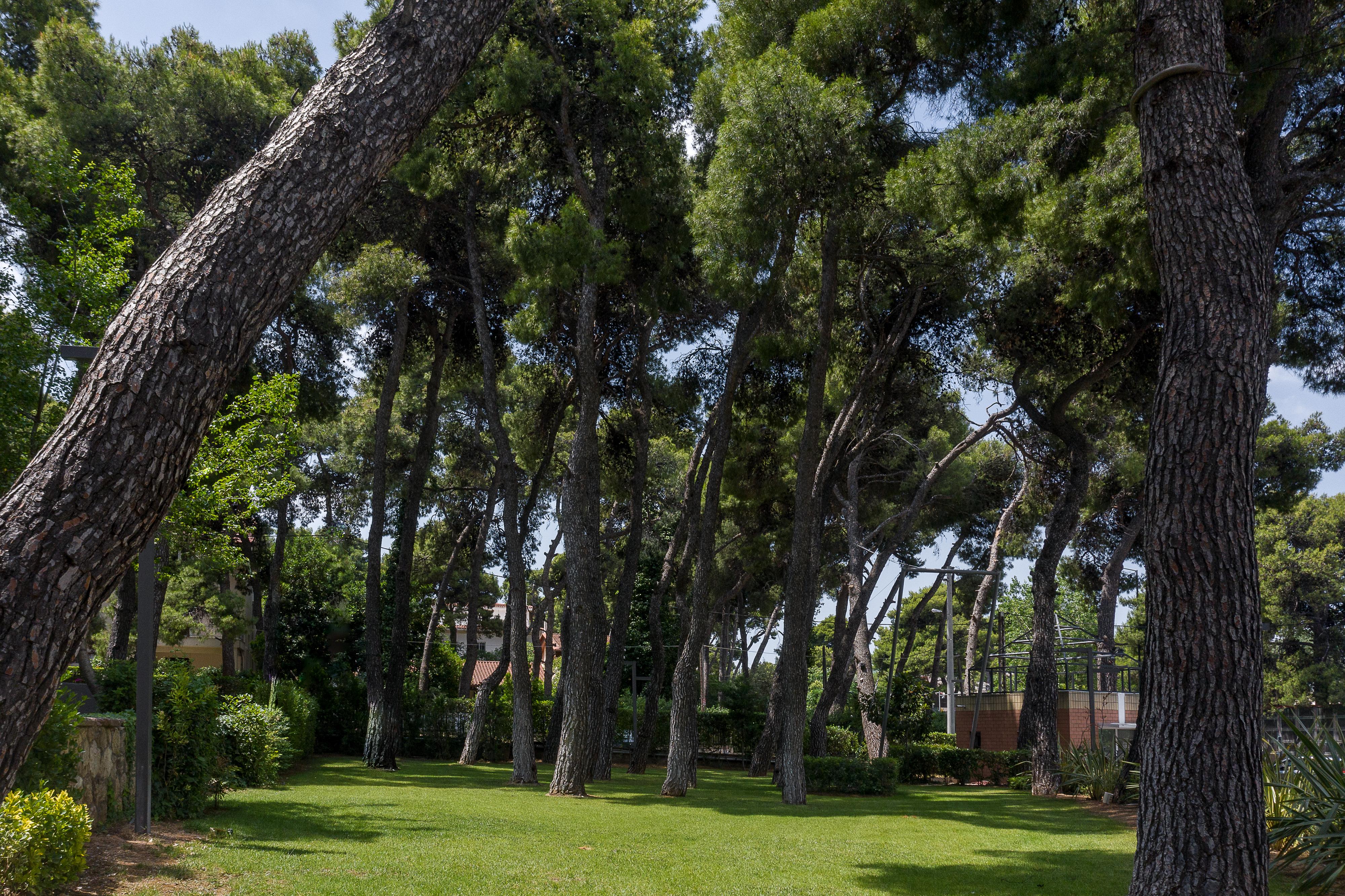Domotel Kastri Atene Esterno foto